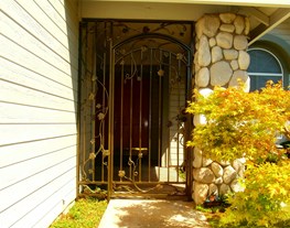 Security Door 18