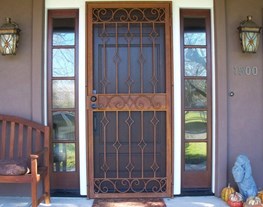 Security Door 9