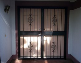 Security Door 3