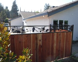 Framed wood with forged grape vine topper