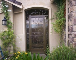 Security Door 6