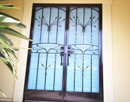 Security Door 1