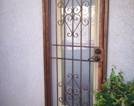 Security Door 8