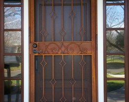 Security Door 4