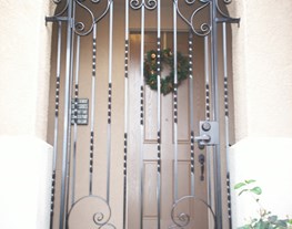 Security Door 20